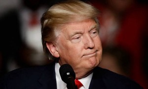 特朗普制止苹果印度生产计划：我对库克有点“不满”！