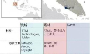 芯片竞争已经是一场华人内战