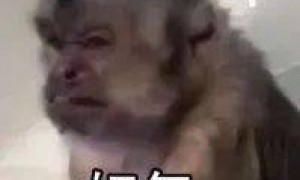 iOS 26，丑上热搜第一