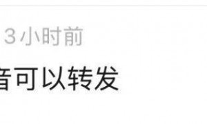 微信聊天又出新功能！网友：爱死了