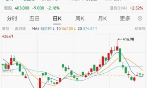 “比亚迪是我的生命”！股东会现场王传福哽咽落泪，称从不拉踩别人，回应股东批评：会改进