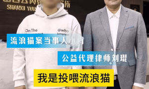 “男子被流浪猫绊倒案”进展：投喂者已支付4.8万赔款，球馆方仍未履行赔偿
